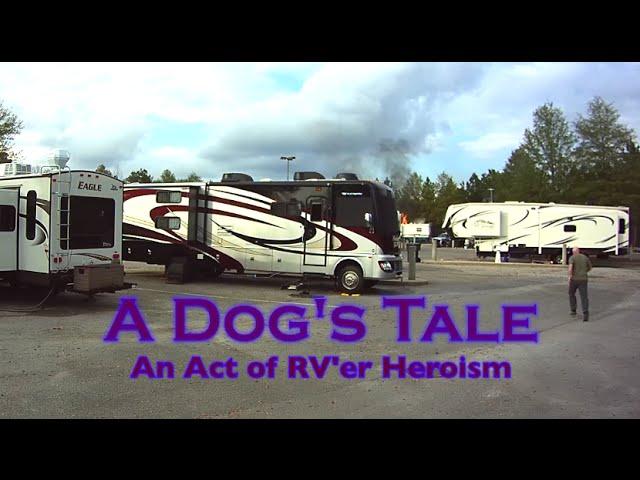RV Fire - "A Dog's Tale -  An Act of RV'er Heroism"