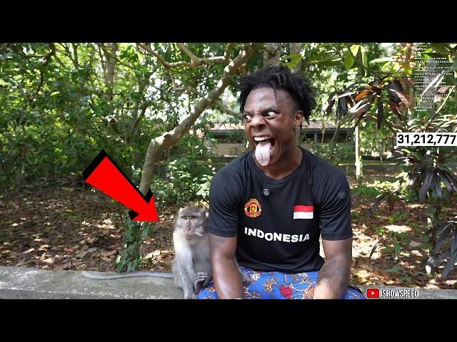 iShowSpeed Makes a New Monkey Friend in Indonesia 