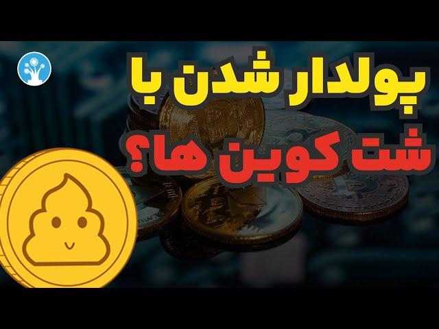 شت کوین چیست؟ همه چیز درباره ی شت کوین ها