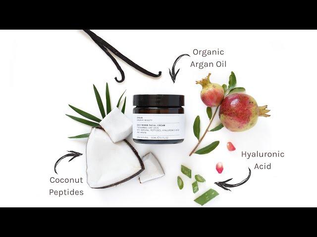 Evolve Organic Beauty | Daily Renew Facial Cream