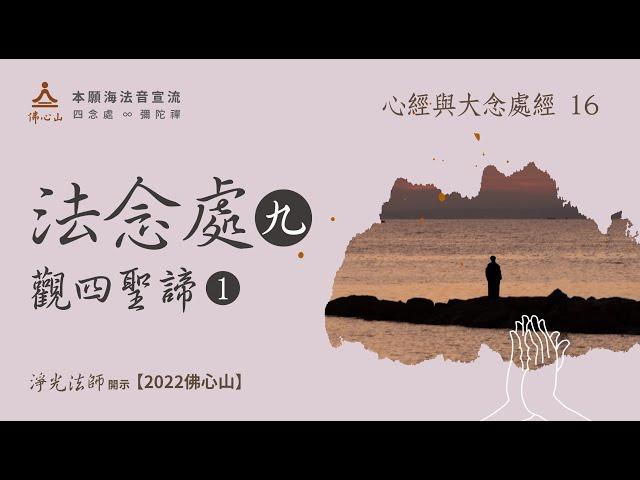 【心經與大念處經的經法與禪法16】法念處9 觀四聖諦1【字幕版】__淨光法師開示