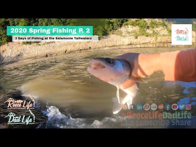 Dad Life Spring Salamonie Reservoir Tailwaters Fishing Part 2 - 3 Days - Crappie Catfish Walleye