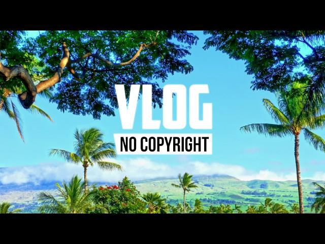 Jorm - Would You Forgive (Vlog No Copyright Music)