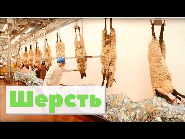 Шерсть | Как это сделано | Wool