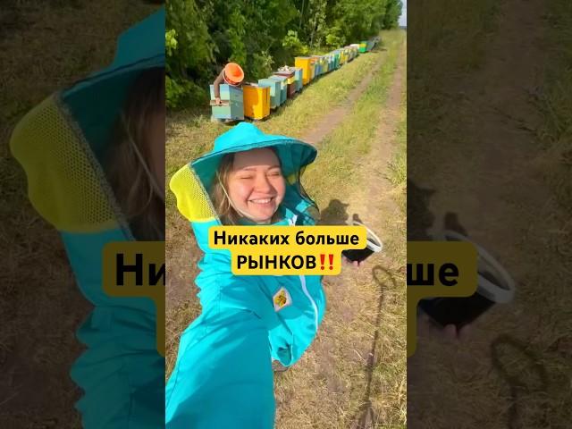Печальный опыт работы на рынке  #пасека #мёд #пасекагатуповых #пасекагатуповыхотзывы #мёдкупить