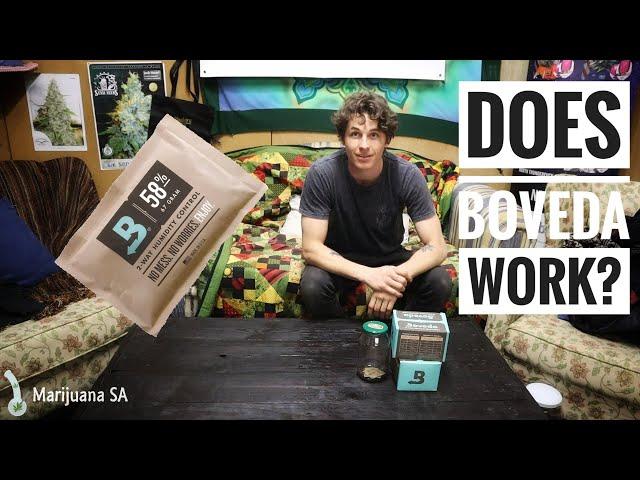 Does Boveda Actually Work? - Marijuana SA