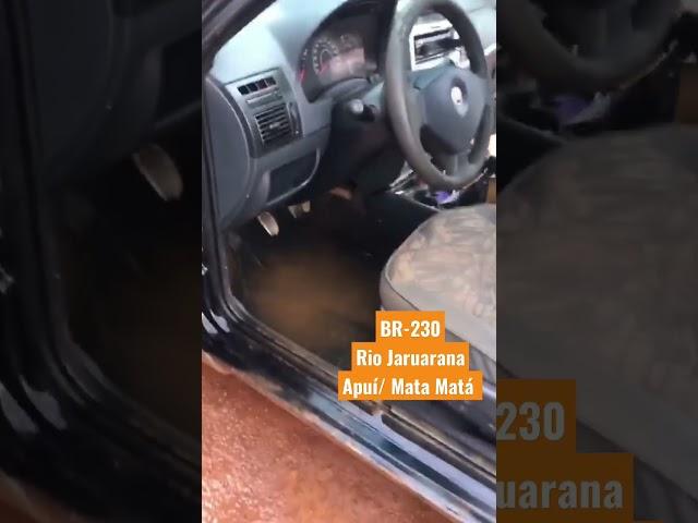 Imagens registradas na BR-230 Transamazônica no trecho entre Apui e a balsa do Mata Matá.