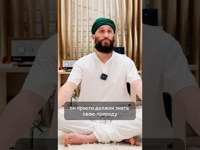 Идеалы vs. реальность: разочарование в отношениях. #Психология #БытьСобой #Отношения #Субличности