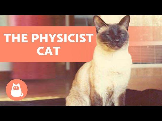 The CAT That WROTE a PHYSICS PAPER  (F. D. C. Willard aka Chester)