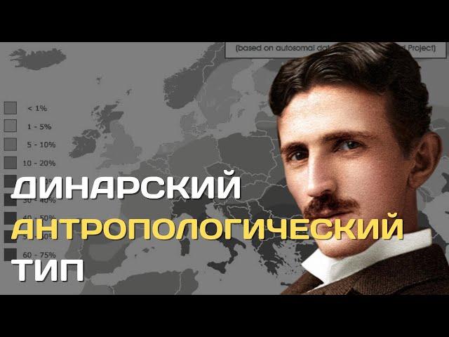 Динарский антропологический тип | Антропологический типы Европы