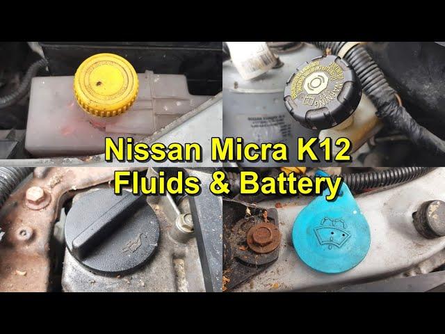 Engine Fluids and Battery Change - Nissan Micra K12