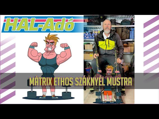 Varázs garázs – Mátrix Ethos száknyél mustra