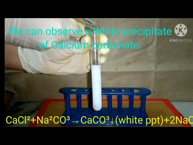 #Experiment  Experiment 11:-Precipitation reaction of Calcium chloride and Sodium Carbonate.