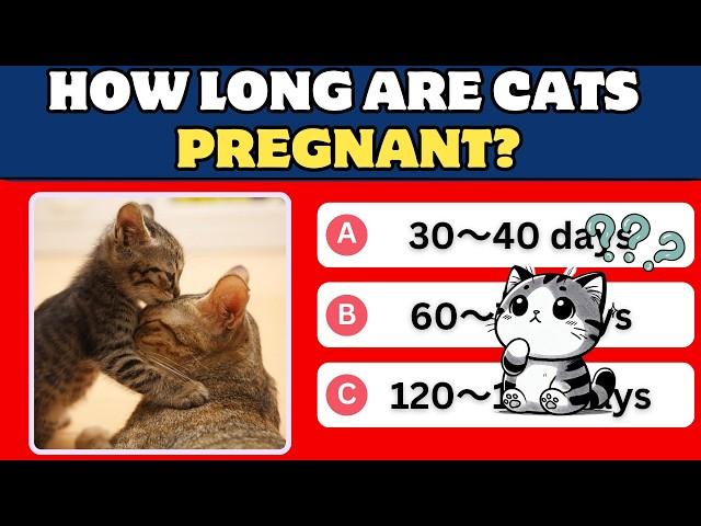 CAT TRIVIA QUIZ - 10 cats General knowledge Trivia Questions and Answers