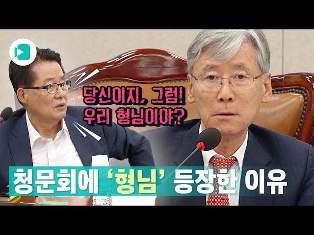 박지원-여상규 청문회장 설전..."당신이 판사야" vs "어디서 큰소리야" / 비디오머그