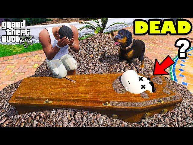 Franklin Lost Shinchan Forever But Who Killed In GTA 5 | SHINCHAN and CHOP