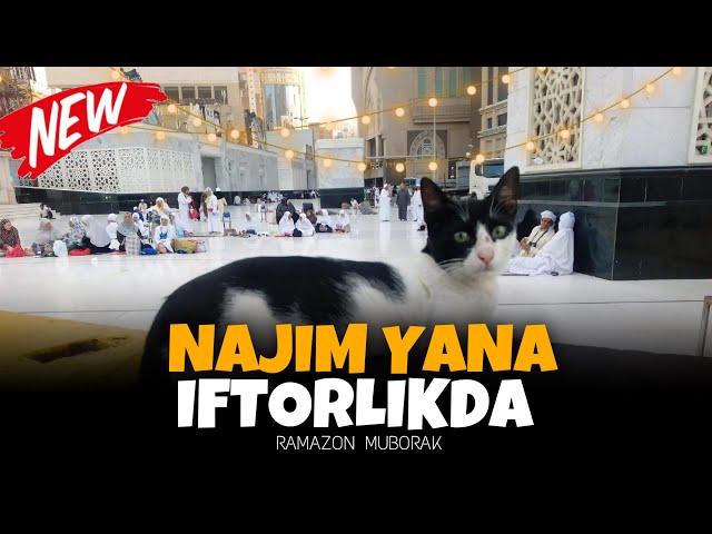 NAJIM YANA IFTORLIKDA | OBUNA BOLING | AZIK BOOM