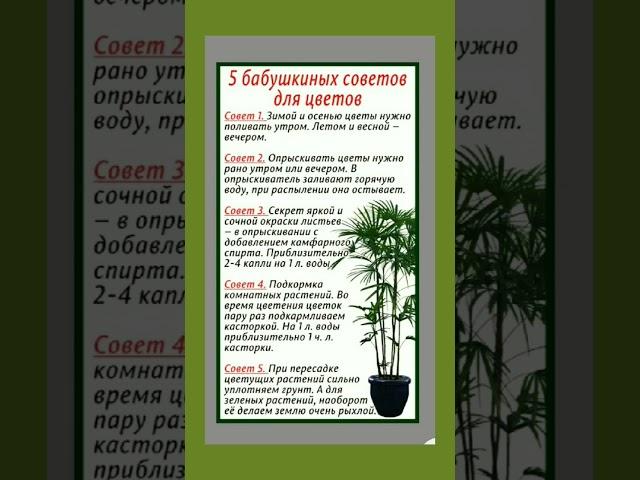 ПОЛЕЗНАЯ ЗАМЕТКА САДОВОДУ ЛЮБИТЕЛЮ  @Poleznie_zametki #youtubeshorts #shortvideo #обовсём #полезныезнания