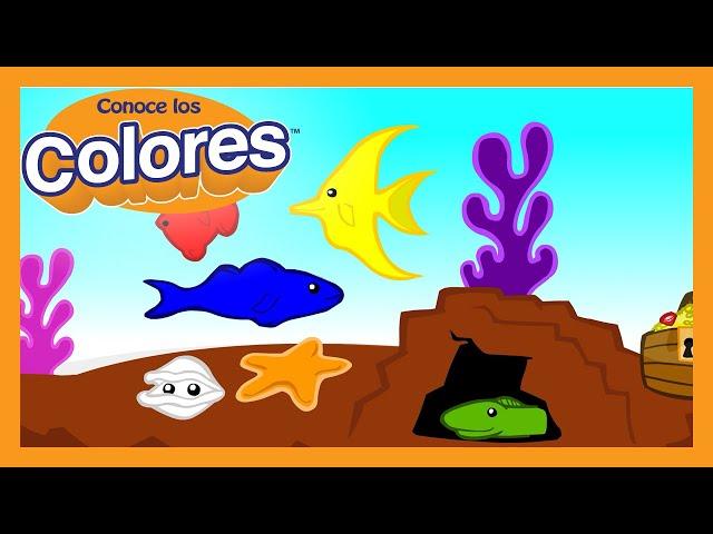 Conoce los Colores "Pecera" Coloreando | Meet the Colors "Fish Tank" Coloring | Preschool Prep