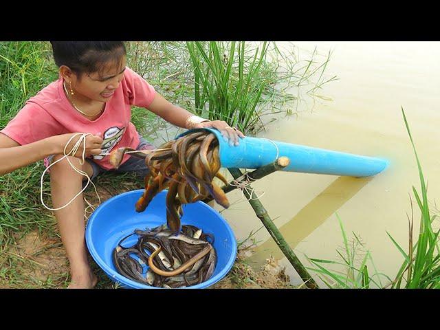Believe This Fishing? Unique Eels Trapping System Make From PVC | New Technique Of Beautiful Girl