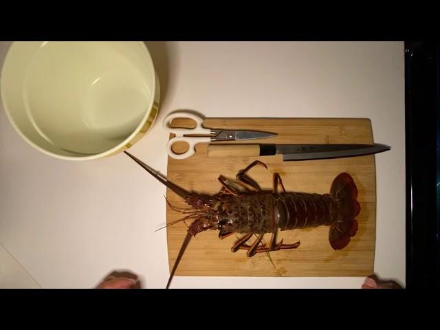 How to Clean and Devein a California Spiny Lobster