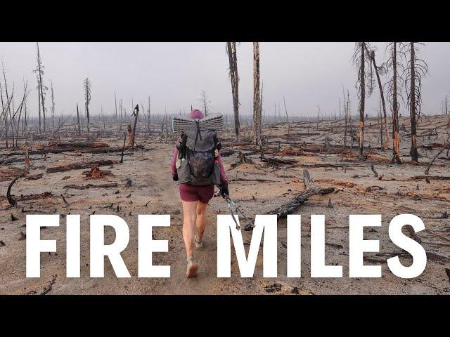 Finishing the 2,650 mile long Pacific Crest Trail (Episode 21)