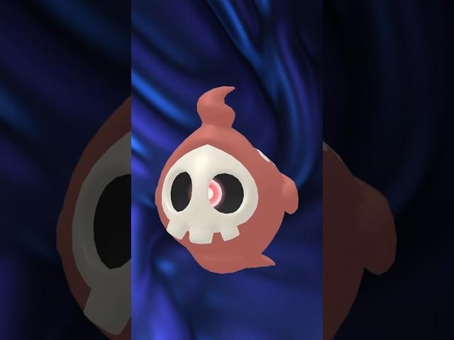 SHINY DUSKULL?! #shinypokemon #shinyduskull #pokemonlegendsarceus #hoenn #duskull #dailyshiny
