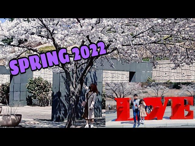 SPRING IN KOREA 2022 #SPRINGKOREA