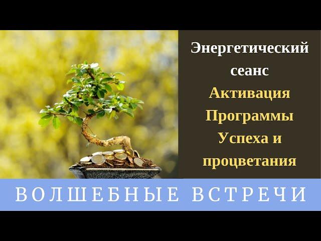 Энергетический сеанс - Активация Программы Успеха и процветания. Надежда Ражаловская.