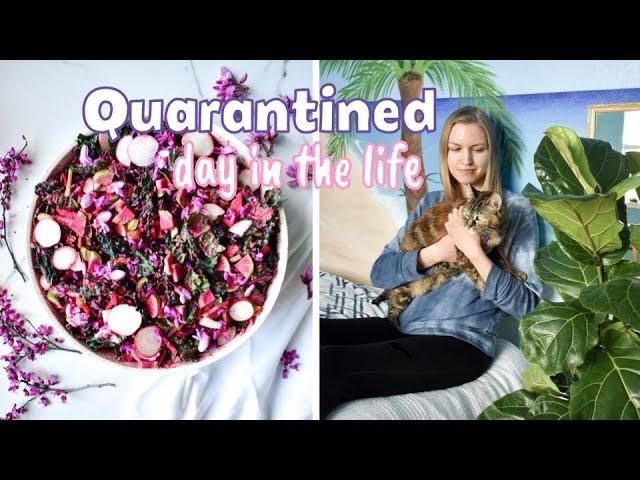 Quarantine what I eat in a day + stay at home activities