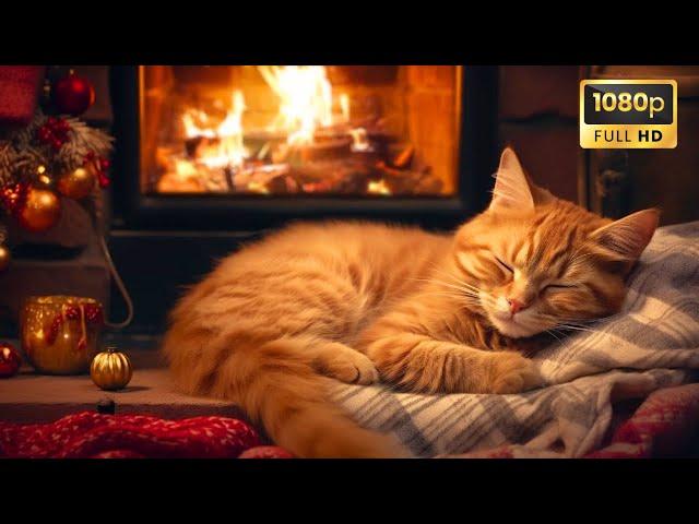 Cozy Room With Purring Cat and Crackling FireplaceDeep Sleep, Stress Relief, Meditate