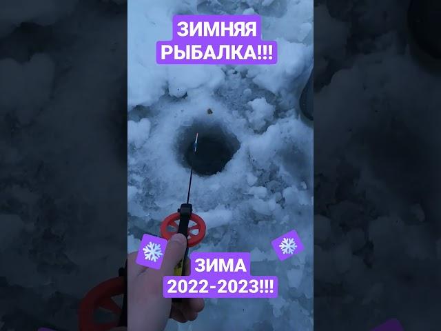 РЫБАЛКА НА ЛЬДУ! #2022 #2023 #рыбалка #shortvideo #yt #природа #рекомендации #зима #зимняярыбалка#tv