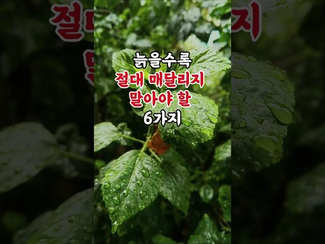 늙을수록 절대 매달리지 말아야 할 6가지