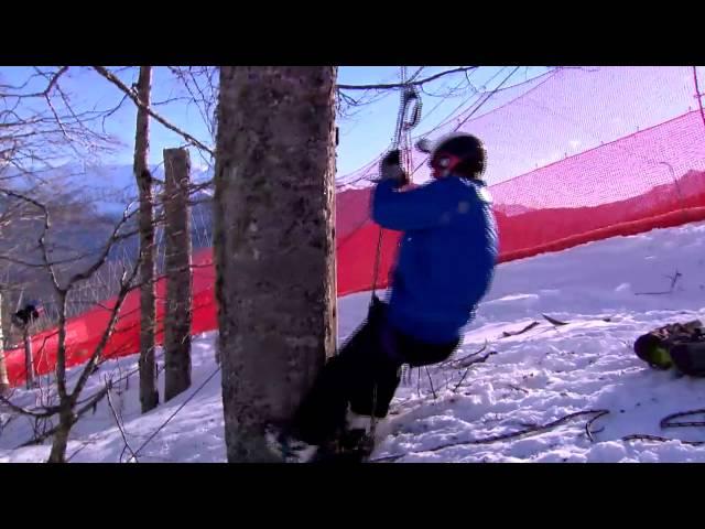 STEVE PORINO IN A TREE