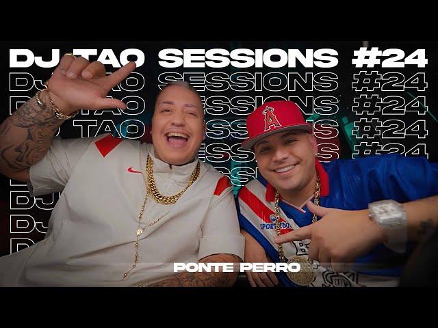 PONTE PERRO | DJ TAO Turreo Sessions #24