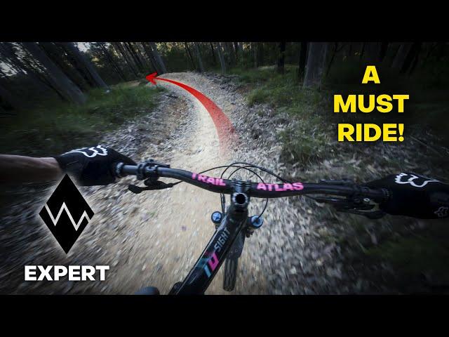 The BIGGEST Jump line at Mogo Trails (For Now) | Big Dog's Bone