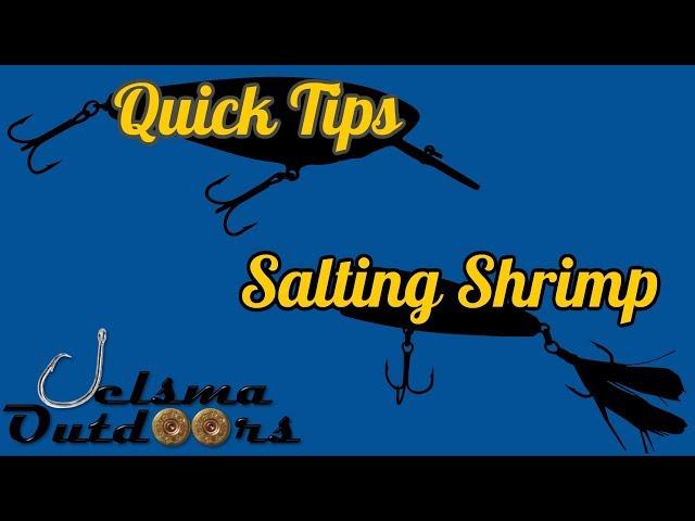 BEST BAIT EVER Salted Shrimp DIY How To