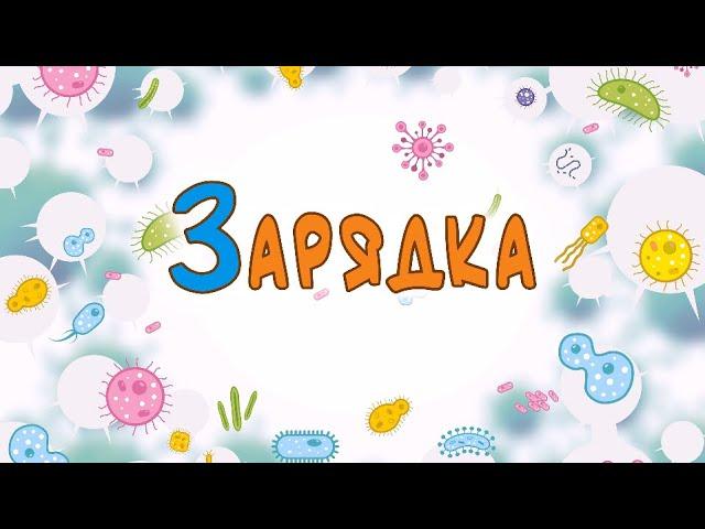 Зарядка