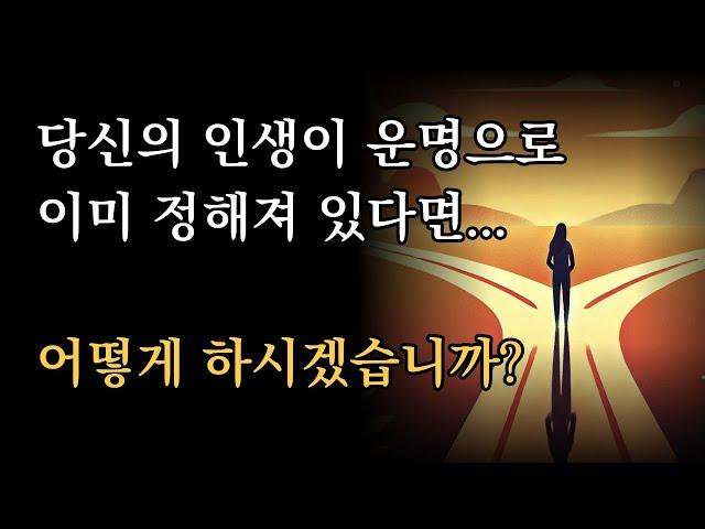 당신의 인생이 운명으로 이미 정해져 있다면...어떻게 하시겠습니까? [운명에 만약은 없다]