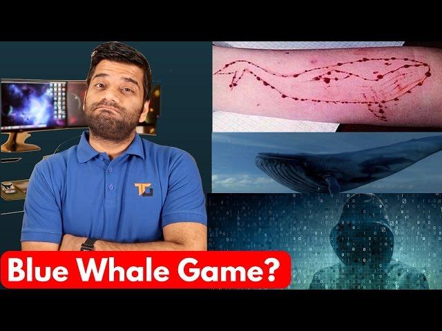 Blue Whale Game - The Killer Game - Stay Away!!!