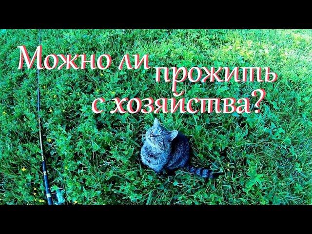 Можно ли в одиночку жить в деревне зарабатывая с хозяйства? // Деревенские будни