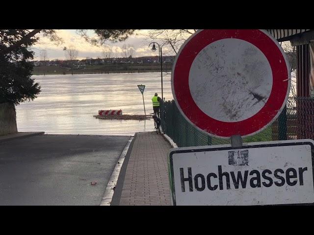 Hochwasser in Mondorf am Rhein Februar 2021