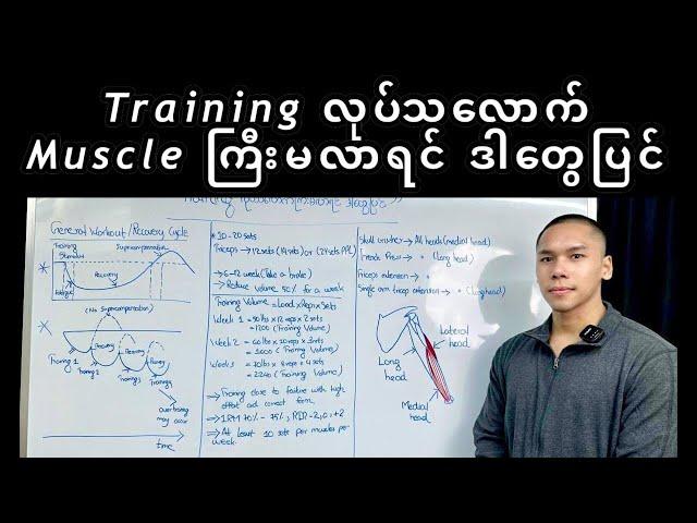 Training လုပ်သလောက် Muscle ကြီးမလာရင် ဒါတွေပြင်