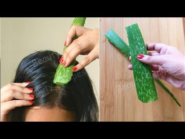 She rubs Aloevera on her Hair & turned Thin hair to Thick hair in 1 week - Aloevera for Hair Growth