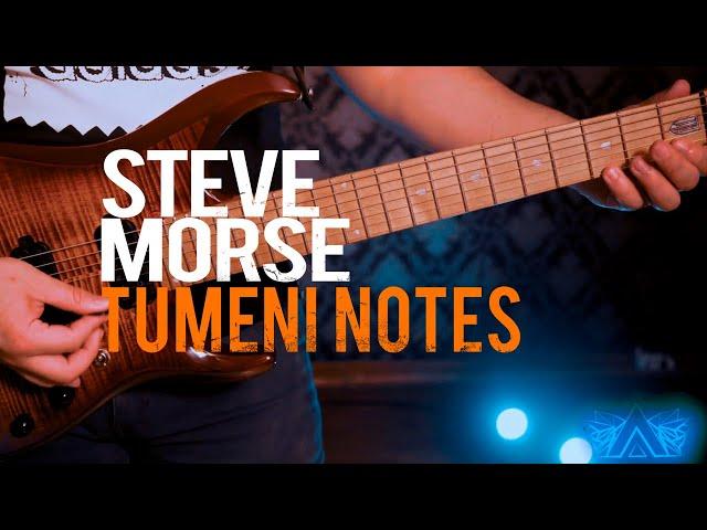 Steve Morse - Tumeni Notes (Guitar Cover by Angelo Santos)