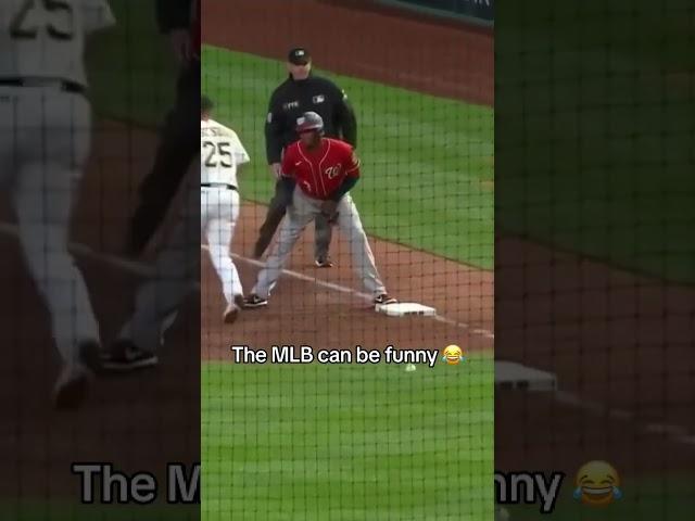 Some of MLB's funniest moments  #mlb #baseball #summer