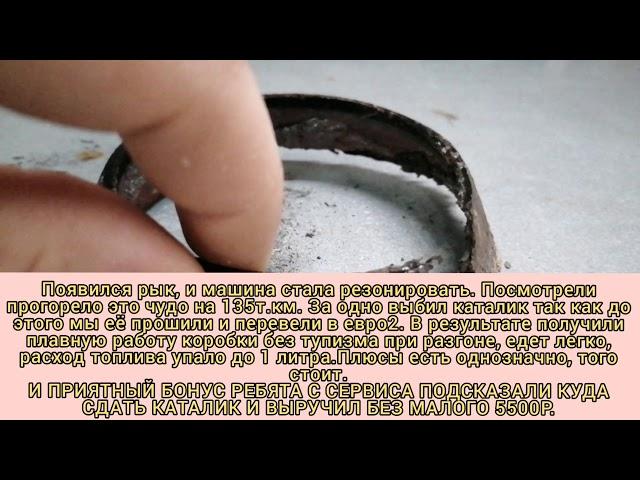 А каталик то золотой $$$