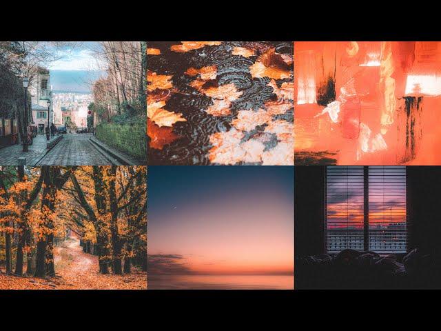 Aesthetic Sounds - Mood Boards (Official Lofi Visualizer) (Full Album)