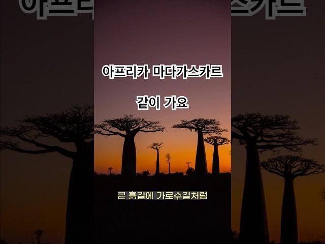 아프리카 마다가스카르 같이 가실 분~ #임팀장
