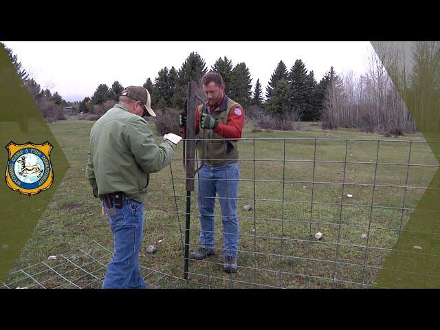 Building a Bear Fence